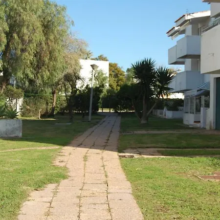 Lovelystay - Oasis *