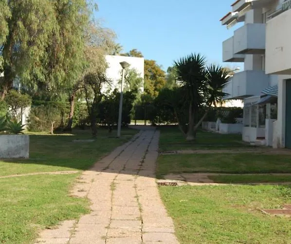 Lovelystay - Oasis *